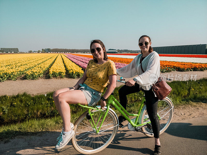 happy girls with their ride bike in front of beautiful dutch tulip field in full harvest season